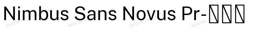 Nimbus Sans Novus Pr字体转换